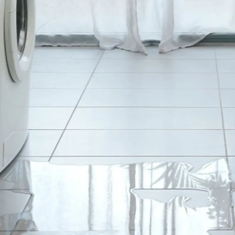 Appliance Leak Cleanup in Perryville, AR