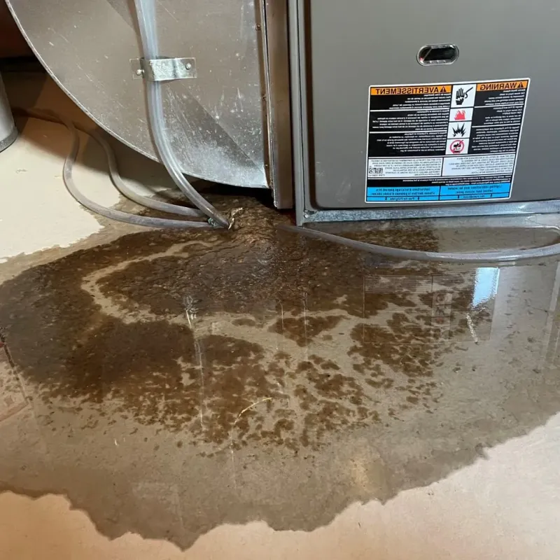 Pipe Burst and Leak Restoration in Perryville, AR