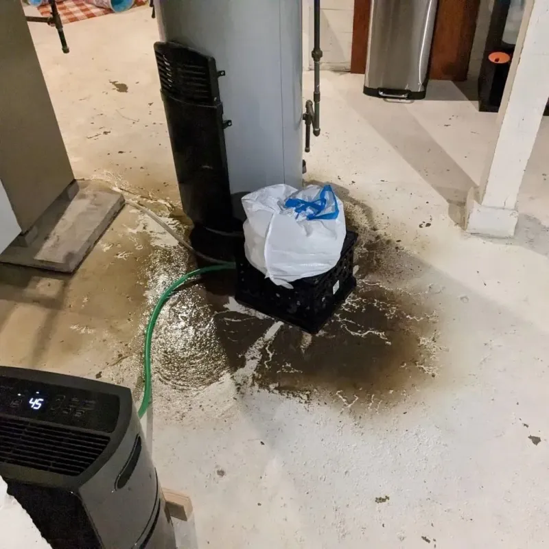 Sewage Backup Cleanup Service in Perryville, AR